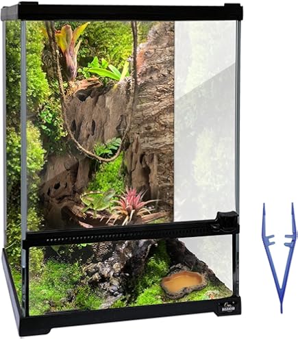 Amazon.com : Exo Terra Glass Natural Terrarium Kit, for